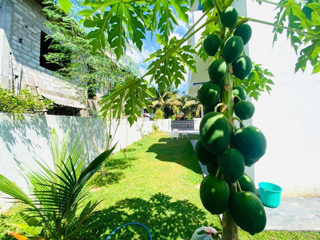 Twinstop Villa Minuwangoda Bagian luar foto