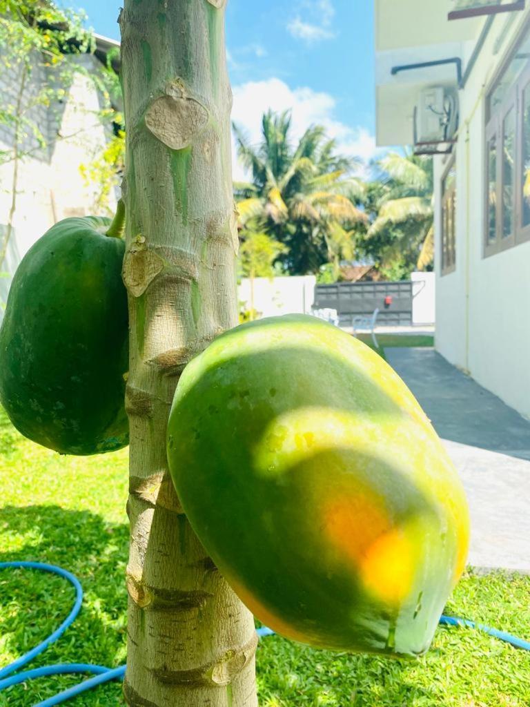 Twinstop Villa Minuwangoda Bagian luar foto